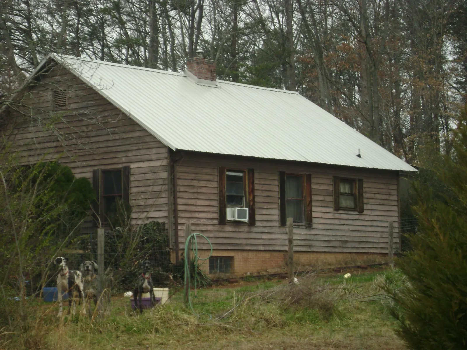 White metal roof on an old wood sided farmhouse, from a Metal Roof Installation job in Storrs Mansfield